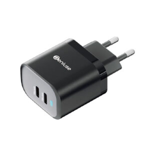 Charger Beniuse BE-CH02